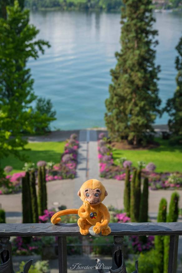 Blumeninsel Mainau - Bodensee 08_2016.jpg